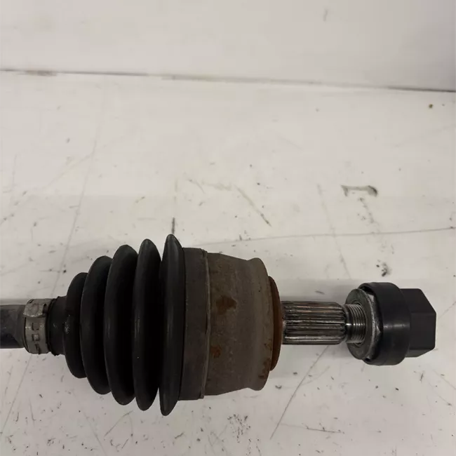 Semialbero anteriore completo sinistro