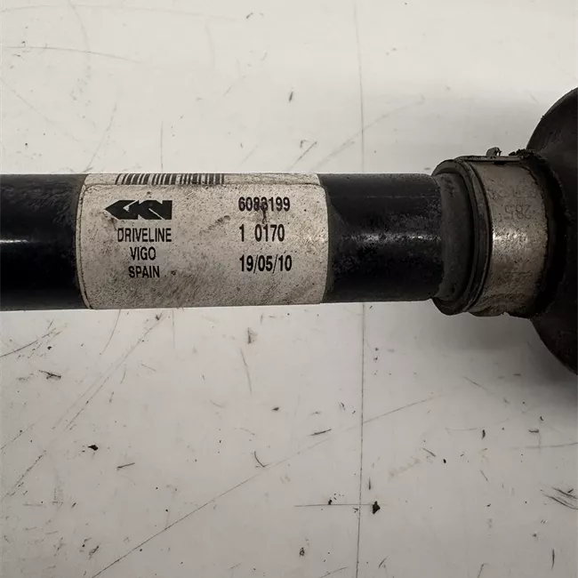 Semialbero anteriore completo sinistro