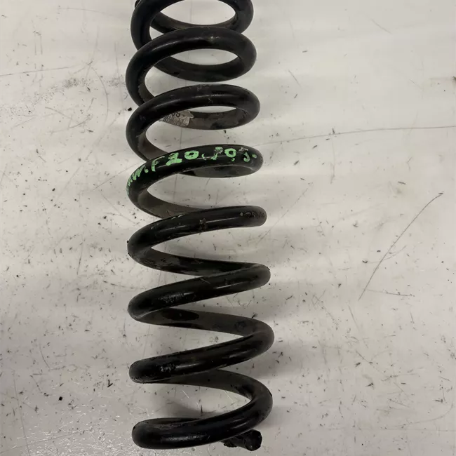 Molla sospensione posteriore sinistra