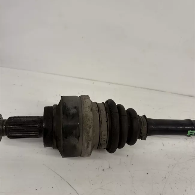 Semialbero posteriore completo sinistro