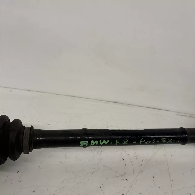 Semialbero posteriore completo sinistro