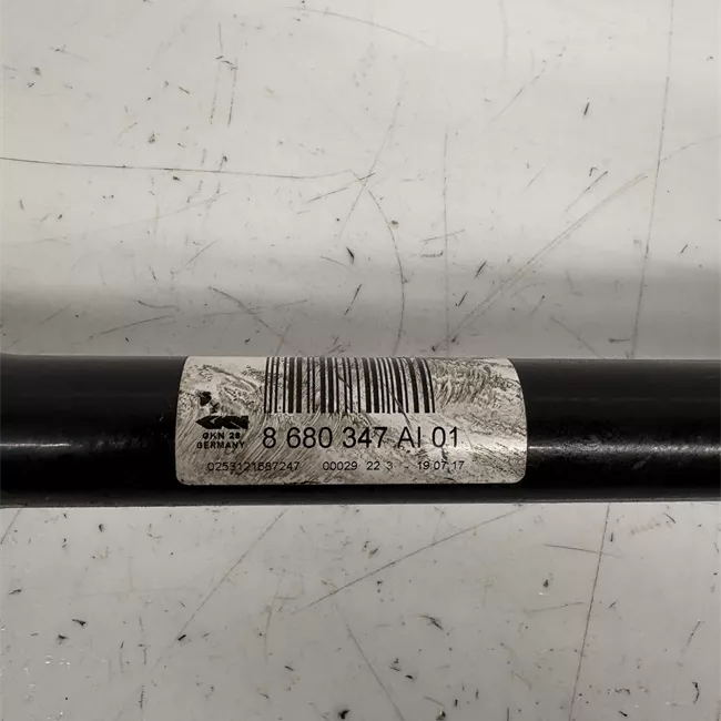 Semialbero posteriore completo sinistro