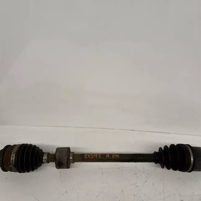 Semialbero anteriore completo destro