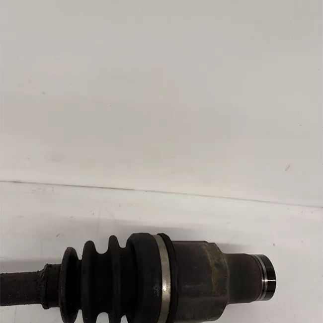 Semialbero anteriore completo destro