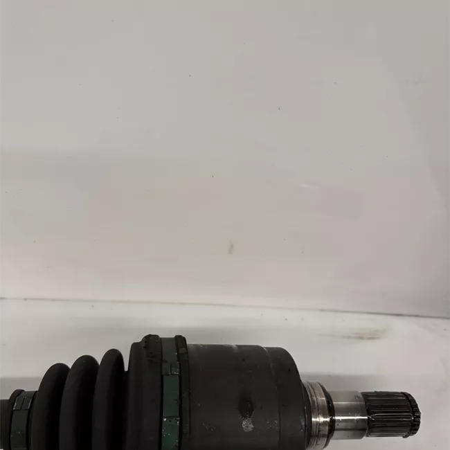 Semialbero anteriore completo sinistro