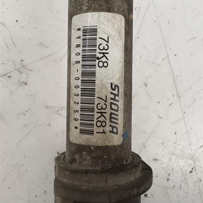 Scatola sterzo servoassistita elettronica