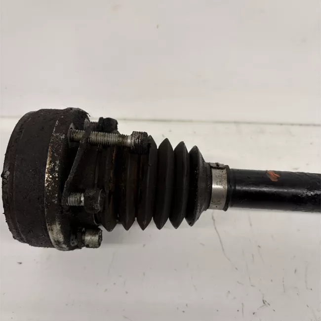 Semialbero anteriore completo sinistro