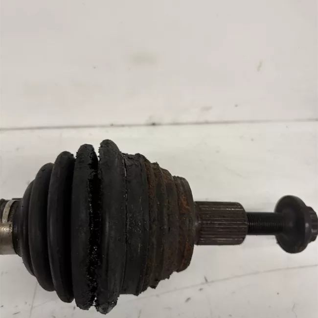 Semialbero anteriore completo sinistro