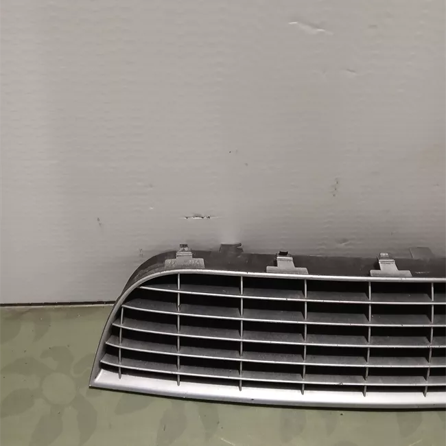 Griglia inferiore paraurti anteriore