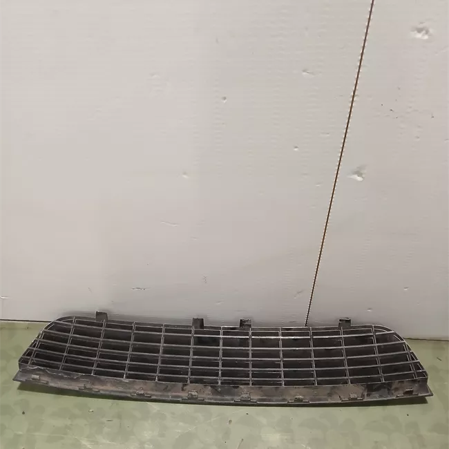 Griglia inferiore paraurti anteriore