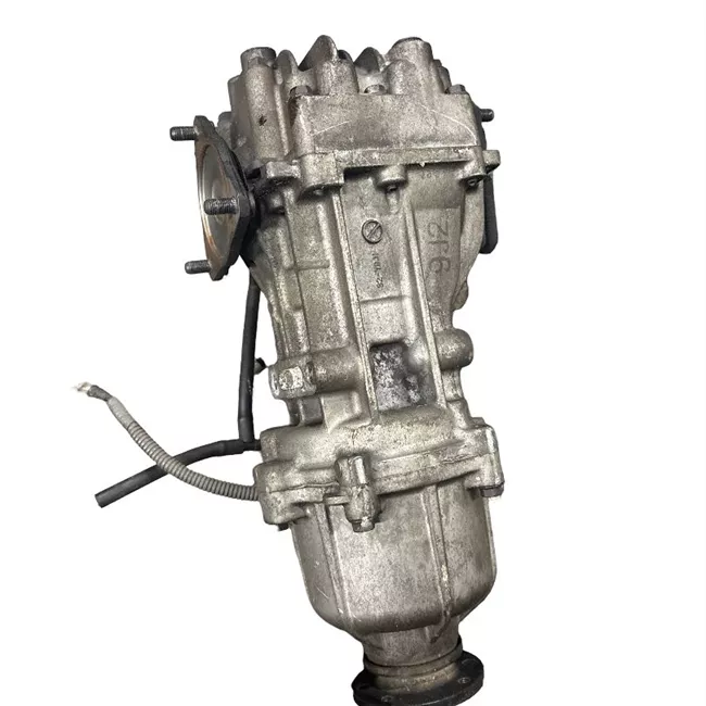 Scatola differenziale posteriore