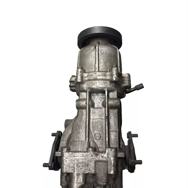 Scatola differenziale posteriore