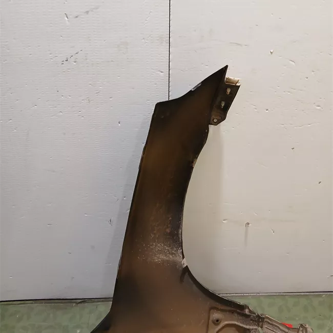 Parafango anteriore sinistro