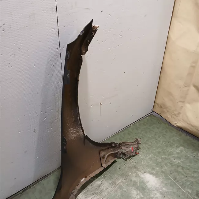 Parafango anteriore sinistro