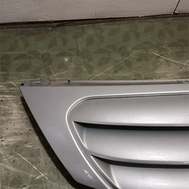 Griglia con stemma con primer