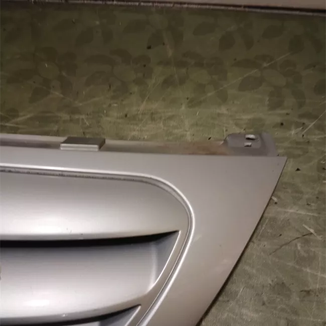 Griglia con stemma con primer