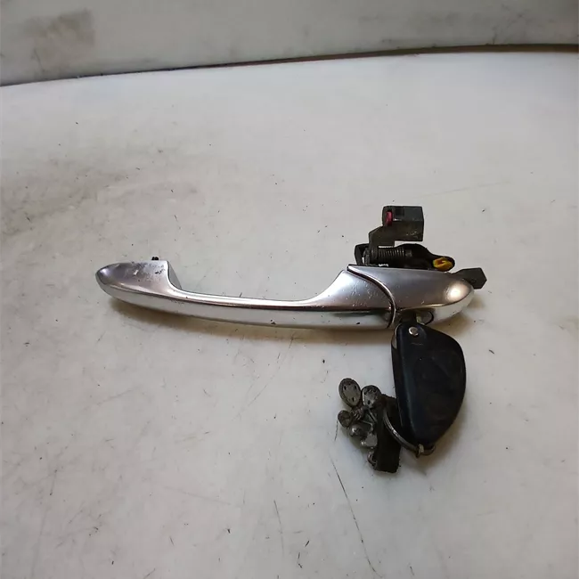 Maniglia porta anteriore sinistra