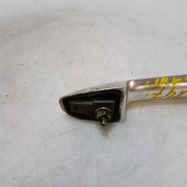 Maniglia porta anteriore sinistra