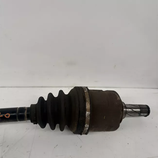 Semialbero anteriore completo sinistro