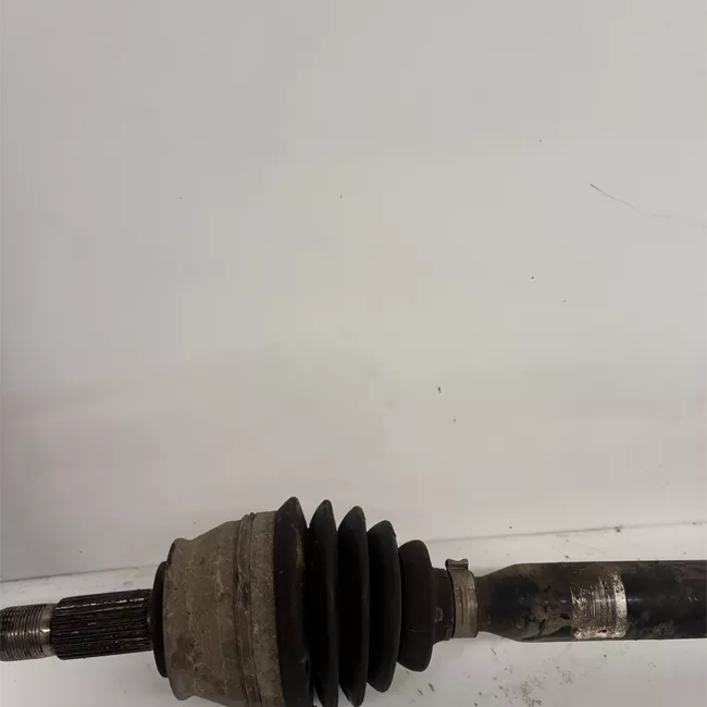 Semialbero anteriore completo destro