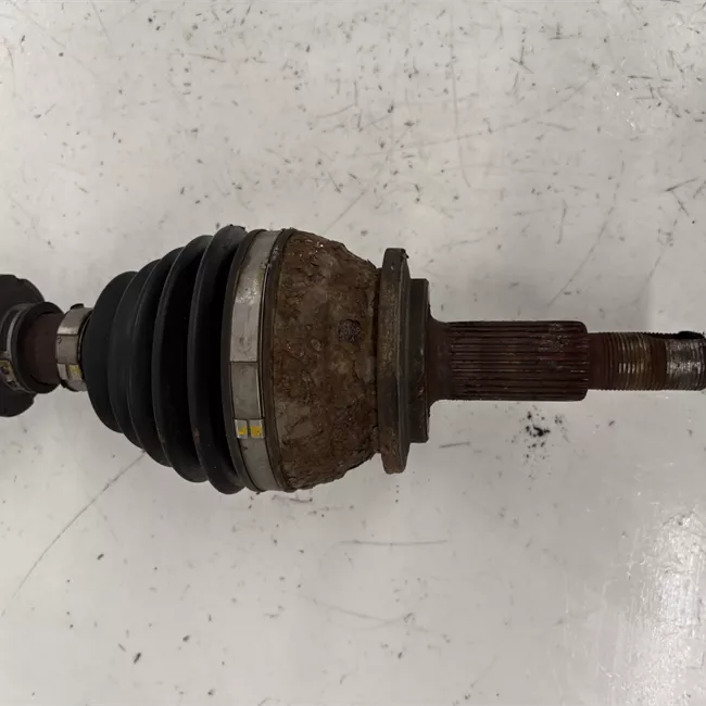 Semialbero anteriore completo sinistro