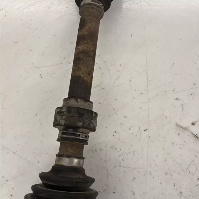 Semialbero anteriore completo destro