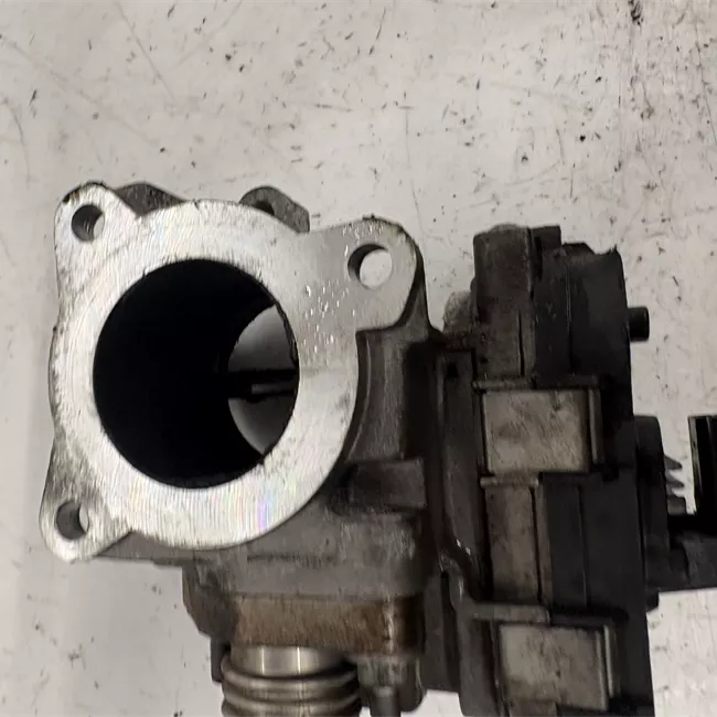 Corpo farfallato rotazionale