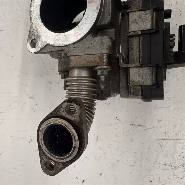 Corpo farfallato rotazionale