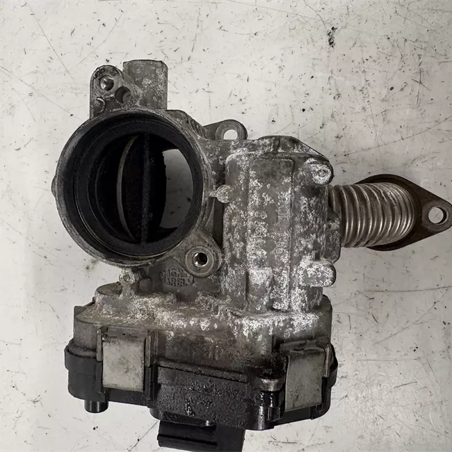 Corpo farfallato rotazionale