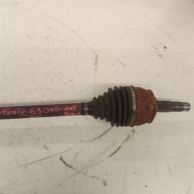 Semialbero anteriore completo sinistro