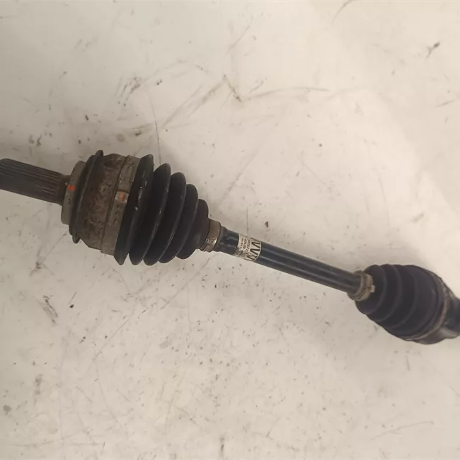 Semialbero anteriore completo sinistro