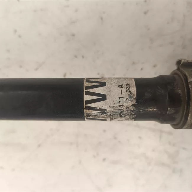 Semialbero anteriore completo sinistro