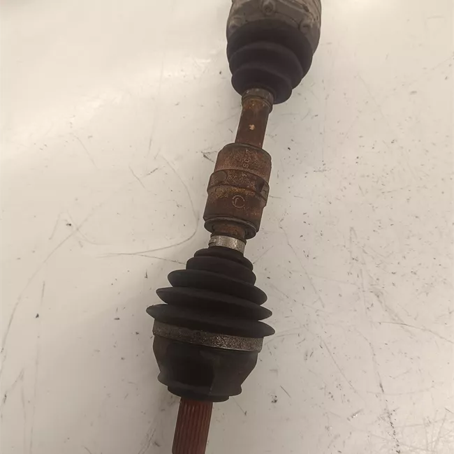 Semialbero anteriore completo destro