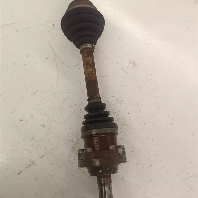 Semialbero anteriore completo sinistro