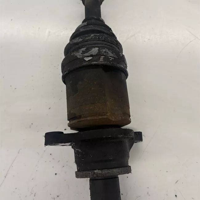 Semialbero anteriore completo destro