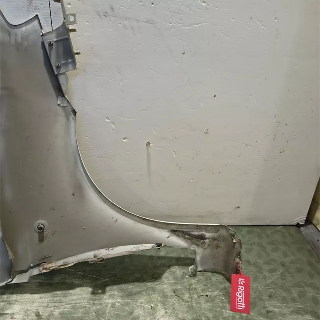 Parafango anteriore sinistro