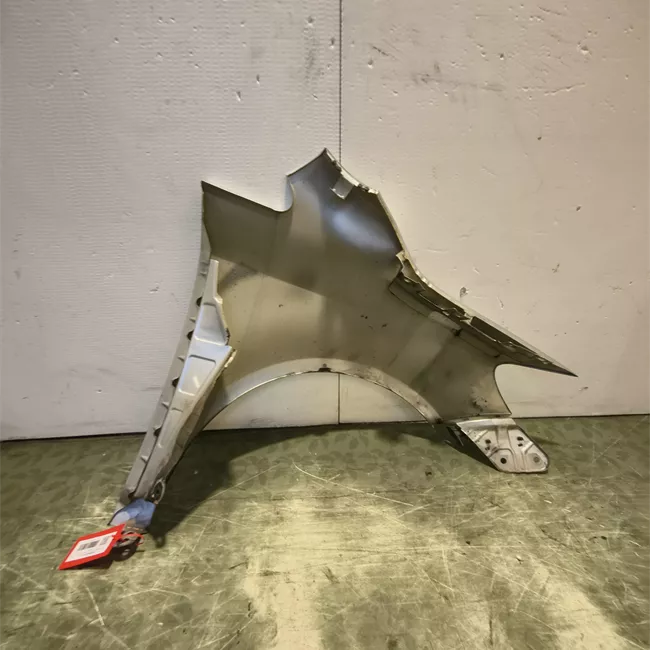 Parafango anteriore sinistro