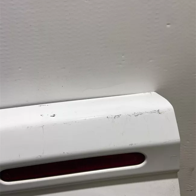 Porta carico posteriore a battente sinistra Lamierata