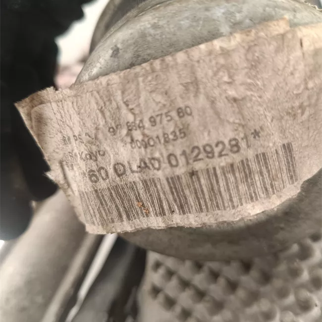 Scatola sterzo servoassistita elettronica