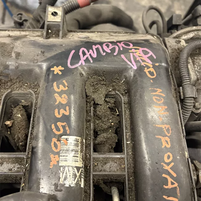 Cambio completa rotazionale ione GS6-37DZ