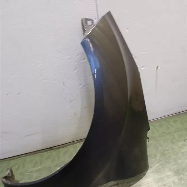 Parafango anteriore sinistro