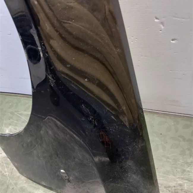 Parafango anteriore sinistro