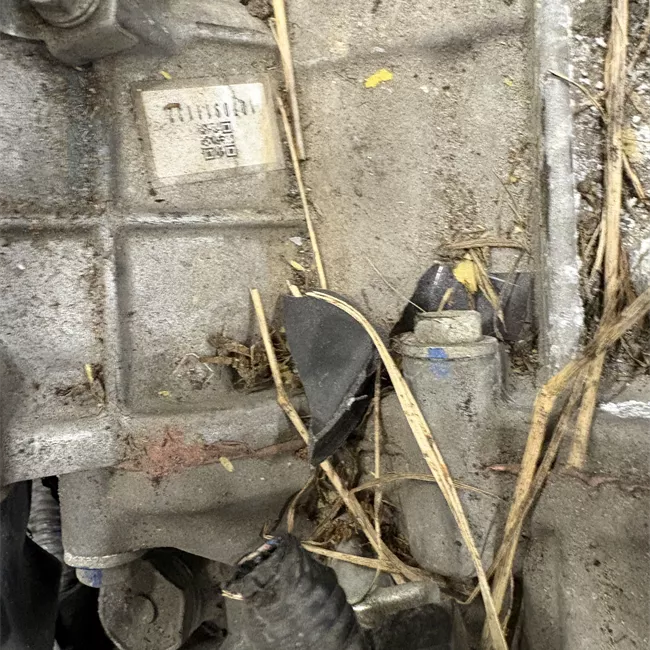 Gruppo ibrido trasmissione (cambio con motori elettrico )