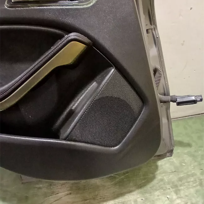 Porta posteriore sinistra