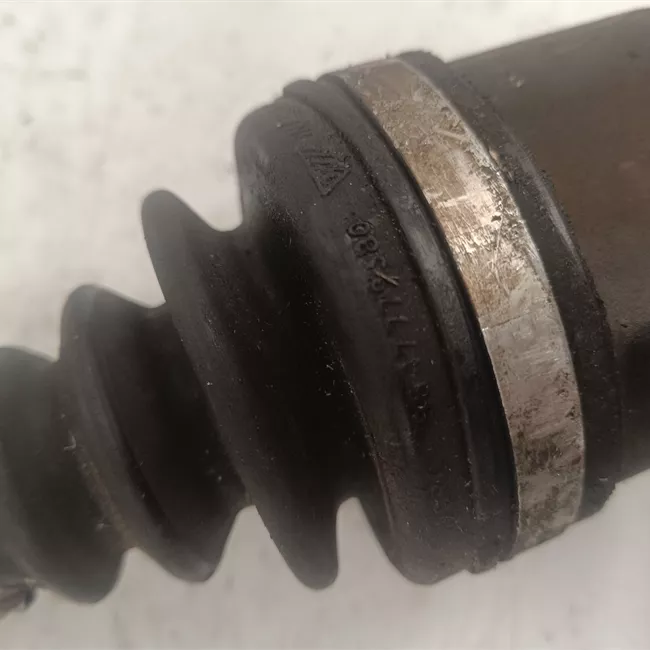 Semialbero anteriore completo sinistro