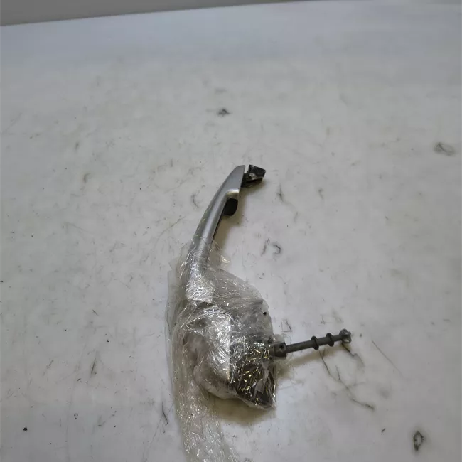 Maniglia porta anteriore sinistra argento