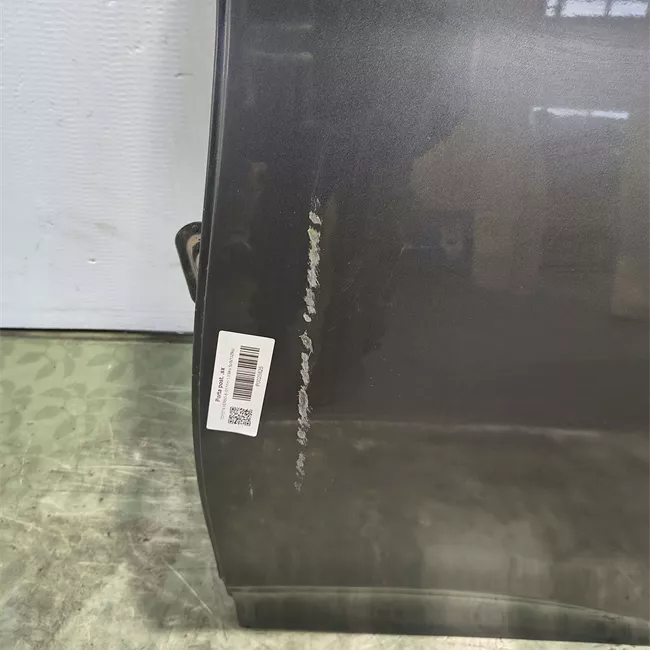 Porta posteriore sinistra