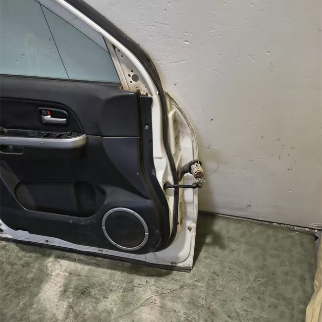 Porta anteriore sinistra