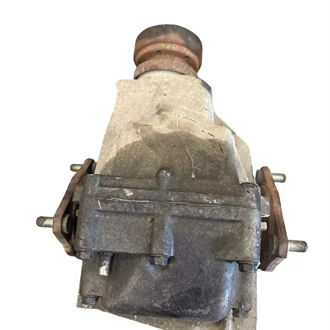 Scatola differenziale posteriore