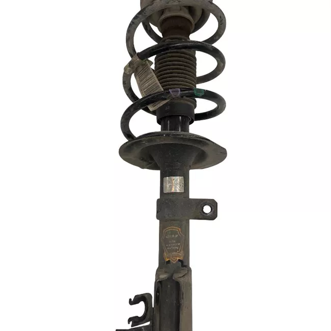 Ammortizzatore anteriore destro